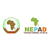 NEPAD photo