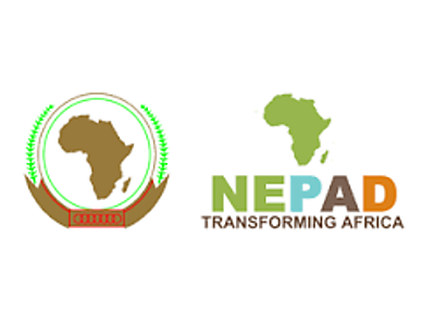 download (3).png - NEPAD image
